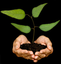 BIO